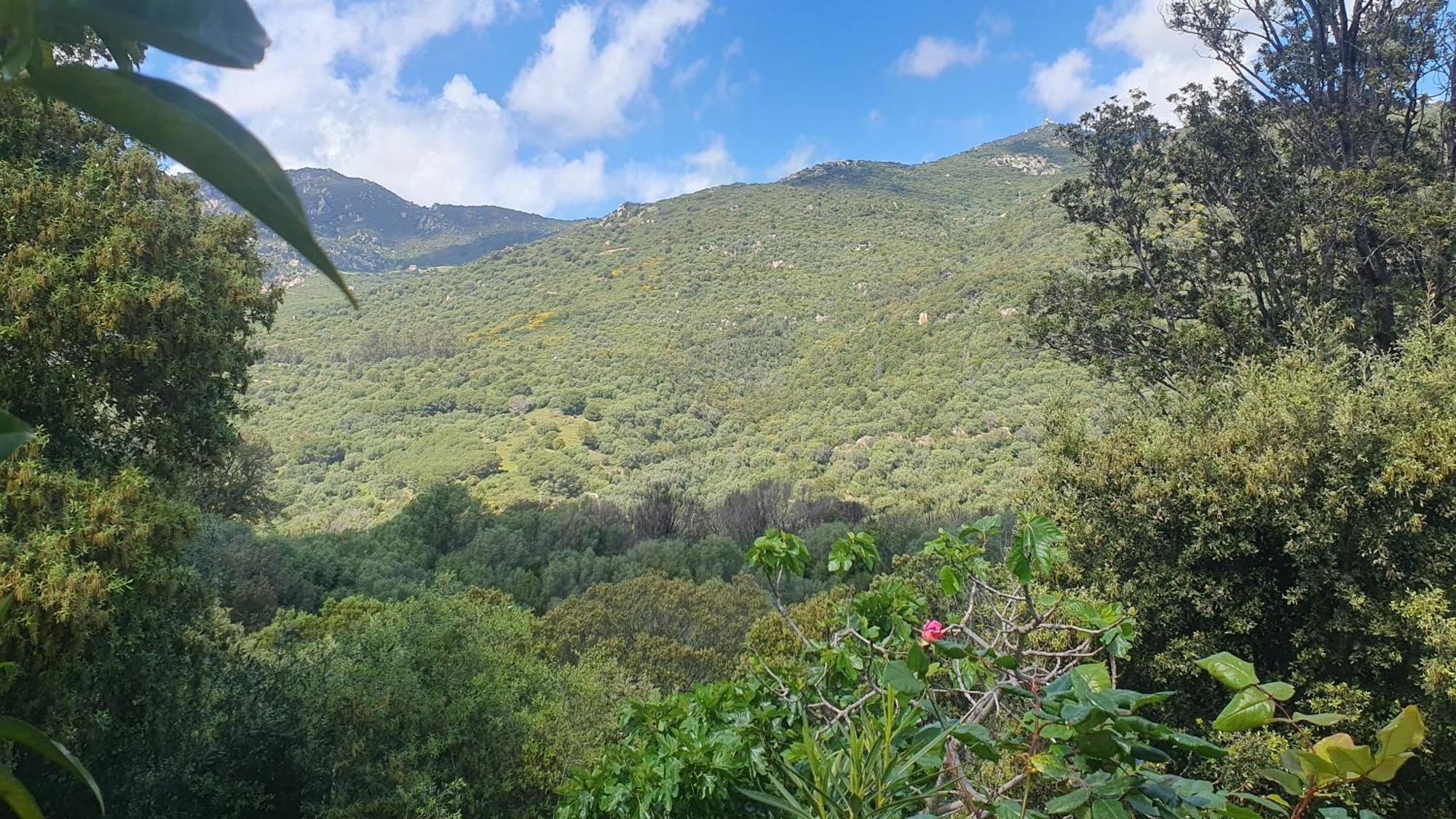 Chez Aldo Ajaccio (Corsica)